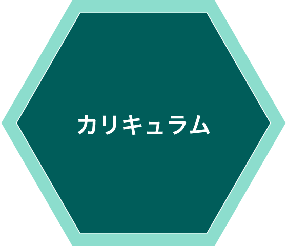 カリキュラム