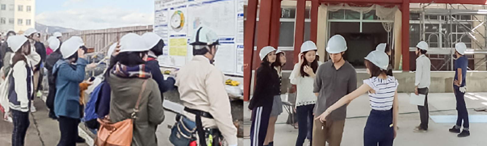  求人・就職情報