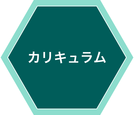 カリキュラム